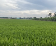 Bán 5,2 Công đất Lúa tại Xã Tân Nhựt, huyện Bình Chánh