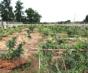 2 Bán lô đất vườn 990m2 giá 1tỷ3 mặt tiền Nguyễn Thị Rành