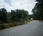 Đất vườn Củ Chi 1010m2 giá 1ty1 xã Tân Phú Trung