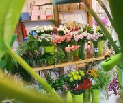 Cần sang gấp shop hoa tại Cô Giang, quận 1.