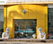 1 Cho thuê showroom, salon mặt tiền 22m trên đường đại lộ Lê Nin, thành phố Vinh