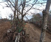 1 Đất tại thôn Mò Phú Chải, xã Y Tý diện tích 2000m2 , nằm trên DT158