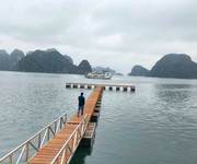 4 Dự án Green Dragon CIty trên đường bao biển Hạ Long - Cẩm Phả