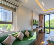 Căn hộ Studio tuyệt đẹp gần cầu Rồng - A597