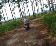 Chính chủ cần bán đất   vị trí đắc địa tại bảo lâm   lâm đồng