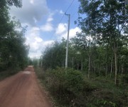 2 Chính chủ cần bán lô đất giá cực rẻ tại dầu tiếng