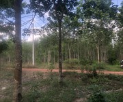 1 Chính chủ cần bán lô đất giá cực rẻ tại dầu tiếng