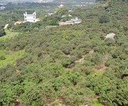 Cần Ra Nhanh 3 Lô Đất Vườn Trang Trại Giá Rẻ Tại Lục Nam - Bắc Giang
