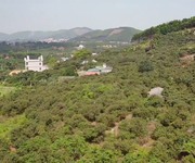 1 Cần Ra Nhanh 3 Lô Đất Vườn Trang Trại Giá Rẻ Tại Lục Nam - Bắc Giang