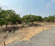 Chính chủ bán gấp Đất Thổ Cư  tại xã An Viễn, Huyện Trảng Bom, Đồng Nai