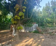 Chính chủ cần bán đất thạch thất
