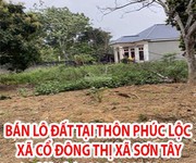 Bán lô đất tại thôn Phúc Lộc, Cổ Đông, Sơn Tây