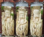 Chuyên cung cấp đinh lăng điêu khắc Chuyên cung cấp đinh lăng điêu khắc