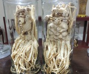 1 Chuyên cung cấp đinh lăng điêu khắc 1 Chuyên cung cấp đinh lăng điêu khắc