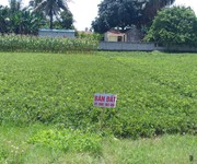 Chính chủ cần ra nhanh lô đất thuộc xã quảng hải, huyện quảng xương, thanh hóa