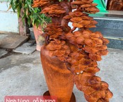 Đồ gỗ thanh tuấn