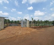 8 Bán Vườn Dừa, Cây Ăn Trái rộng 3,6 sào   3600 m2