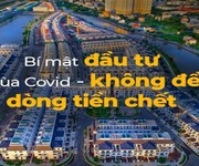 Cơ hội vàng cho các nhà đầu tư năm 2021