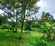 4 Đất nghĩ dưỡng ngay trung tâm tp Bảo Lộc , 2, 6 xào có Ao , suối.nhà cấp 4mới xây sẵn 200m2 thổ cư