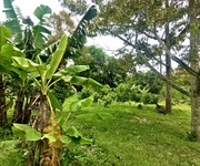 7 Đất nghĩ dưỡng ngay trung tâm tp Bảo Lộc , 2, 6 xào có Ao , suối.nhà cấp 4mới xây sẵn 200m2 thổ cư