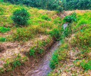 1 Đất nghĩ dưỡng ngay trung tâm tp Bảo Lộc , 2, 6 xào có Ao , suối.nhà cấp 4mới xây sẵn 200m2 thổ cư