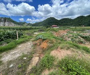 Bán lô đất 5000m2 thị trấn Nông Trường Mộc Châu, suối chảy quanh