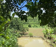 Bán 7000m đất Nghỉ dưỡng tại CAO PHONG