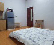 2 Cho thuê căn hộ cao cấp mới 100, full nội thất đường C18, Tân Bình
