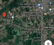 5 Cần bán đất vườn 4200m2 KDC huyện Châu Thành, giá chỉ 1,5 tỷ.