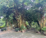 Bán nhà vườn sinh thái dt 4,5 Ha tại xã yên bình thạch thất hà nội