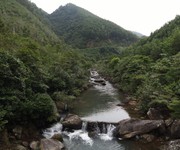 Bán mảnh rừng Đồng Lâm Hoành Bồ rộng 1,2ha - nằm trên trục chính đi Kỳ Thượng