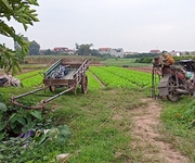 Bán 730m2 đất nông nghiệp ruộng trồng cây lâu năm được luôn tại Gia Lâm