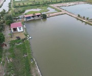 Chỉ 8xx triệu cho mảnh vườn cây ao cá 4000 m2 tại Đoàn Xá, Kiến Thụy.