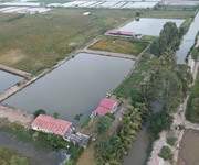 3 Chỉ 8xx triệu cho mảnh vườn cây ao cá 4000 m2 tại Đoàn Xá, Kiến Thụy.