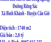 Chính chủ bán lô đất nông nghiệp đường rừng sác, xã bình khánh, huyện cần giờ, tp hồ chí minh