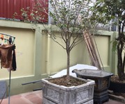 2 Nhà vườn lê cường xin kính chào quý khách 2 Nhà vườn lê cường xin kính chào quý khách