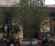 3 Nhà vườn lê cường xin kính chào quý khách 3 Nhà vườn lê cường xin kính chào quý khách