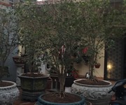 1 Nhà vườn lê cường xin kính chào quý khách 1 Nhà vườn lê cường xin kính chào quý khách