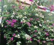 Cho thuê nhà đẹp đón Tết 40m2 5 tầng oto đỗ cửa 4 ngủ giá 10tr/thg