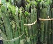 1 Chuyên cung cấp là dong tươi đảm bảo uy tín   chất lượng