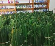 3 Chuyên cung cấp là dong tươi đảm bảo uy tín   chất lượng