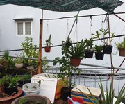 1 Cần tiền bán gấp nhà HXT Lê Thúc Hoạch, P. Phú Thọ Hòa, Quận Tân Phú 1 Cần tiền bán gấp nhà HXT Lê Thúc Hoạch, P. Phú Thọ Hòa, Quận Tân Phú