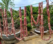 1 Thực phẩm sạch chuyên cung cấp   đặc sản tây bắc