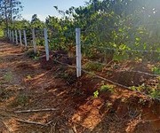 Cần tiền bán nhanh lô đất 2 mặt tiền tại buôn ma thuột, đăk lăk Cần tiền bán nhanh lô đất 2 mặt tiền tại buôn ma thuột, đăk lăk