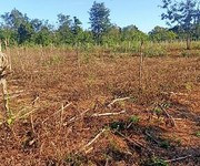 1 Cần tiền bán nhanh lô đất 2 mặt tiền tại buôn ma thuột, đăk lăk 1 Cần tiền bán nhanh lô đất 2 mặt tiền tại buôn ma thuột, đăk lăk