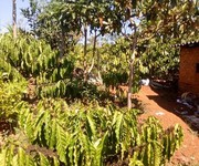 2 Bán đất xã đinh trang hòa, di linh, lâm đồng   cơ hội tốt cho các nhà đầu tư