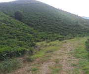 Bán đất nghỉ dưỡng 1600m2 view đẹp