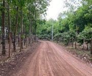 Cần bán đất Thuận Phú, Bình Phước chỉ với giá 550tr đã có thể sở hữu vị đẹp