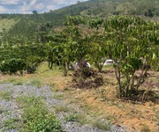 Bán đất nghỉ dưỡng 2600m2 giá rẻ tp bảo lộc