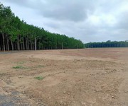 1 Đất nền giá rẻ Khu vực Đồng Phú